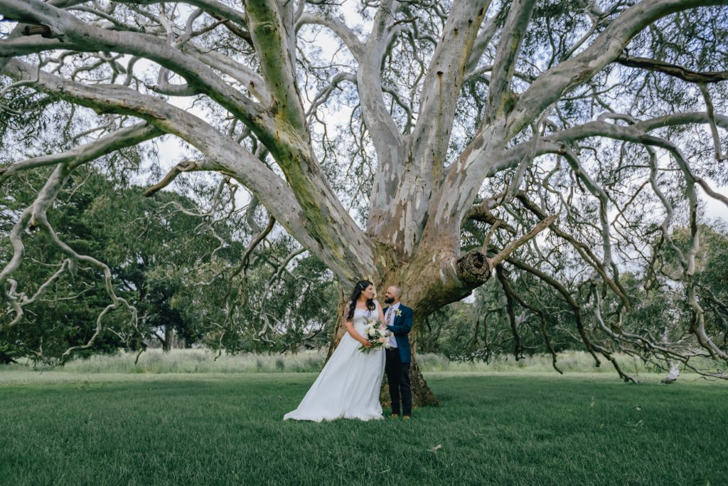 Bride and groom standing next to each other under a big tree at Rocklea Farm Stonehaven.