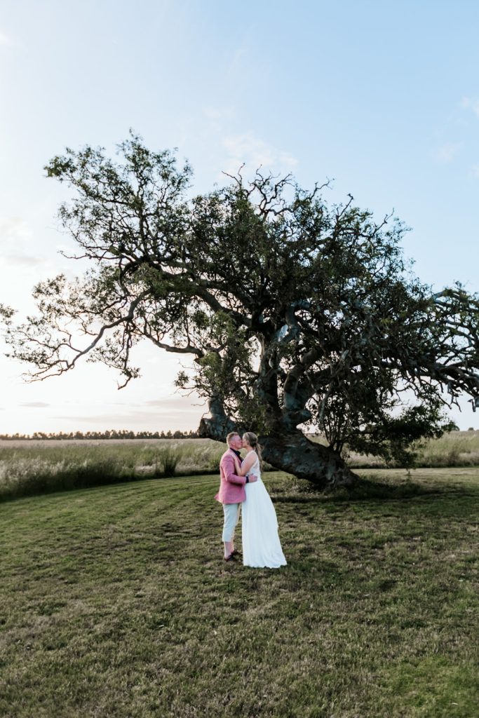 Bride and groom standing and kissing in front of bid tree for Rocklea Farm wedding.