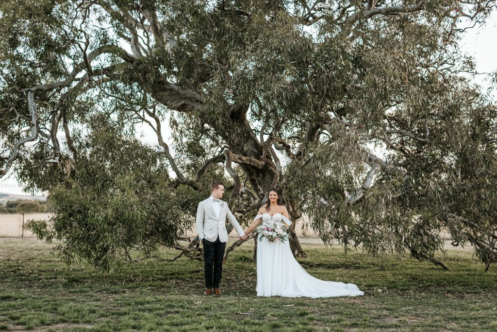 Bride and groom in front of big tree at Rocklea Farm Stonehaven.